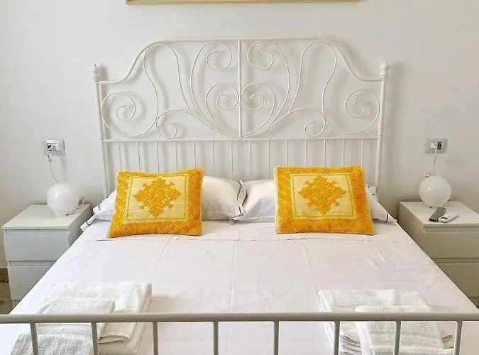 Cocciu D'amuri Ольбия